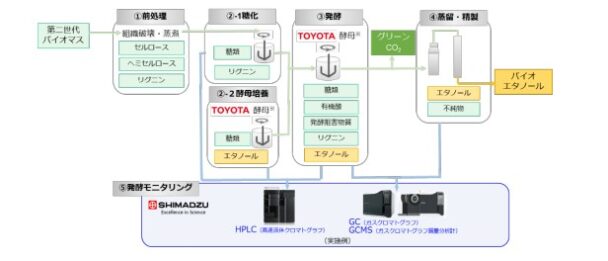 トヨタ自動車が開発した酵母「ＴＯＹＯＴＡ　ＸｙｌｏＡｃｅ」