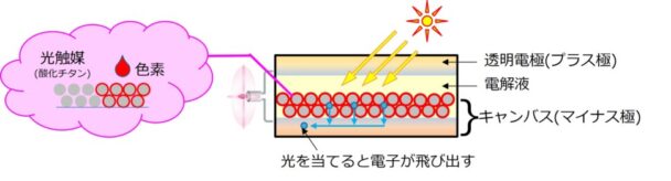 色素増感太陽電池の構造