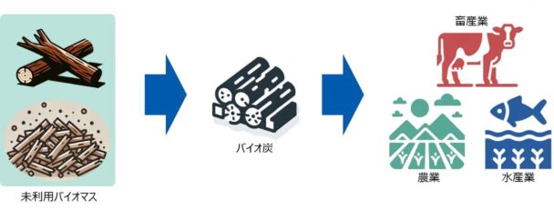 未利用バイオマスの活用イメージ図